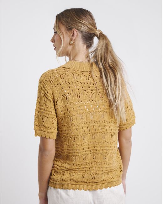 Simply Be Brown Pointelle Collared Knit Top