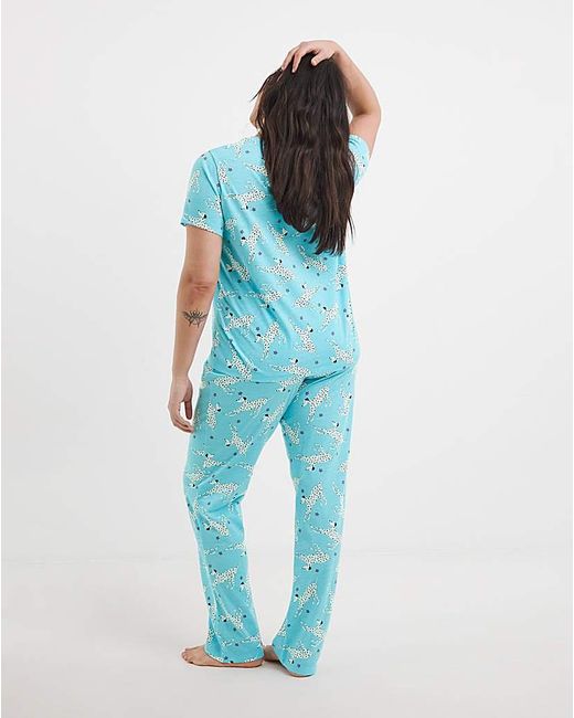 Pretty Secrets Blue Value Dog Pyjama Set