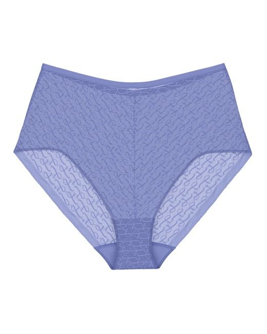 Triumph Blue Signature Sheer Maxi Briefs