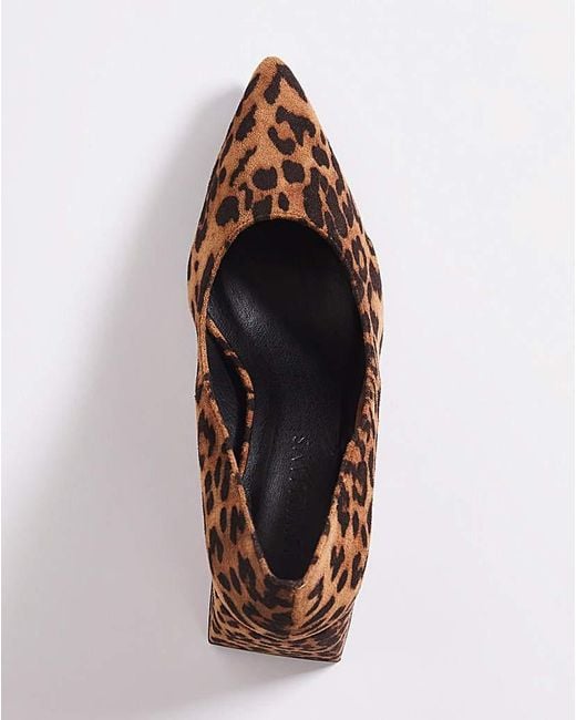 JD Williams Brown Block Heeled Court Shoe Eee Fit