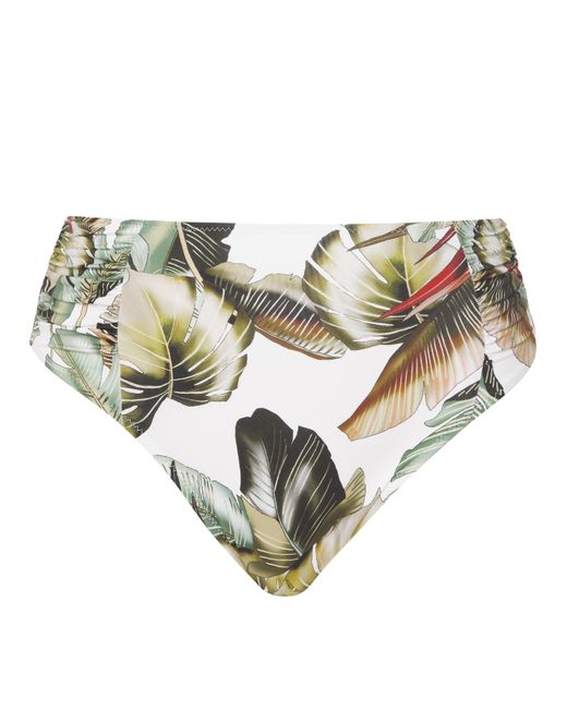 Fantasie Multicolor Kinabalu Full Bikini Brief