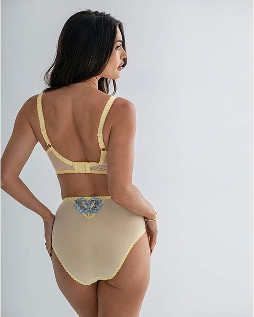 Pour Moi Brown Pour Moi Sofia Deep Knicker