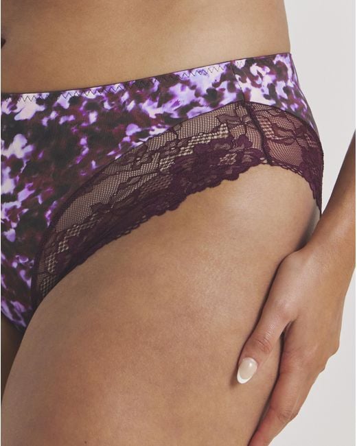 Pretty Secrets Purple 2 Pack Adrianne Midi Knickers