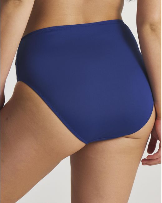 Pretty Secrets Blue Ella Full Briefs