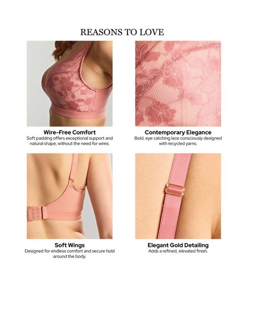 Panache Brown Amour Non Wired Soft Padded Bra