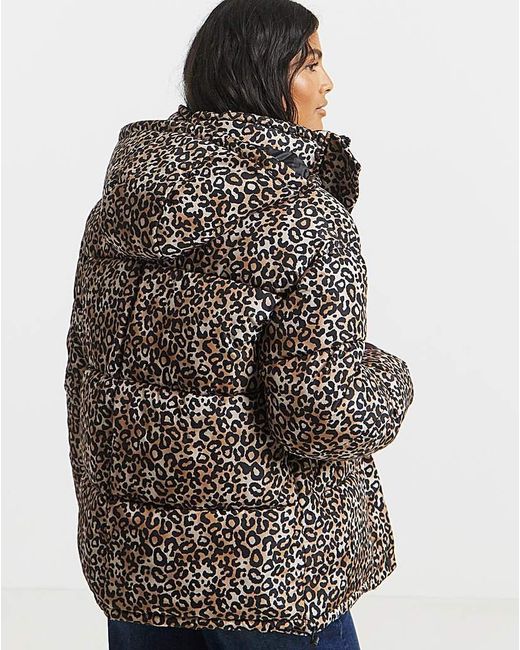 Simply Be Blue Print Padded Coat With Hood