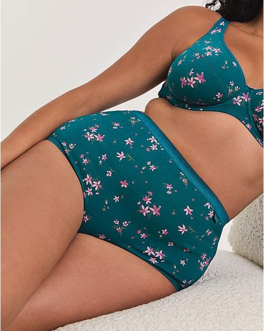 Slimma Blue 4 Pack Full Fit Knickers