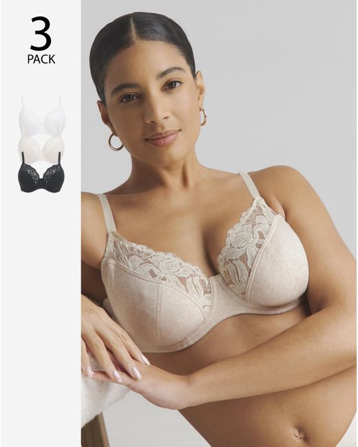 Pretty Secrets Brown 3 Pack Lace Full Cup Bras