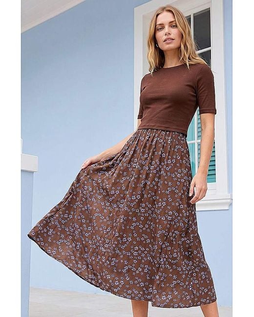 Roman Brown Roman Floral Print Knit Dress