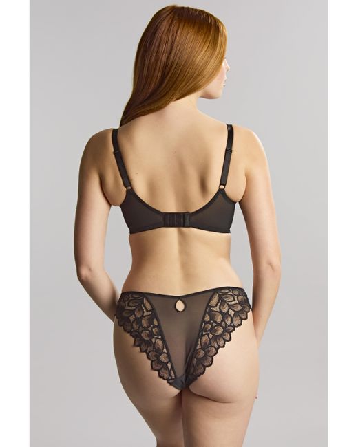 Panache Multicolor Allure Full Cup Wired Bra