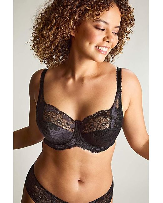 Panache Multicolor Clara Full Cup Wired Bra
