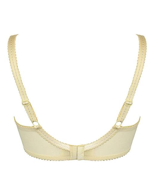 Pour Moi Brown Pour Moi Sofia Full Cup Bra Lemon/Blu
