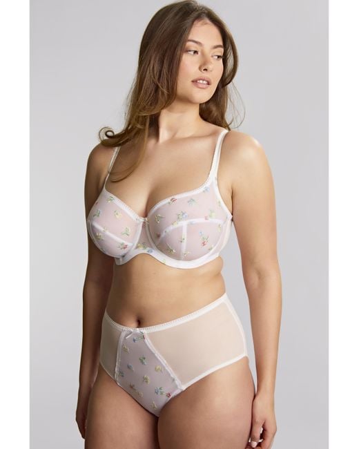 Panache Brown Tango Edit Deep Brief