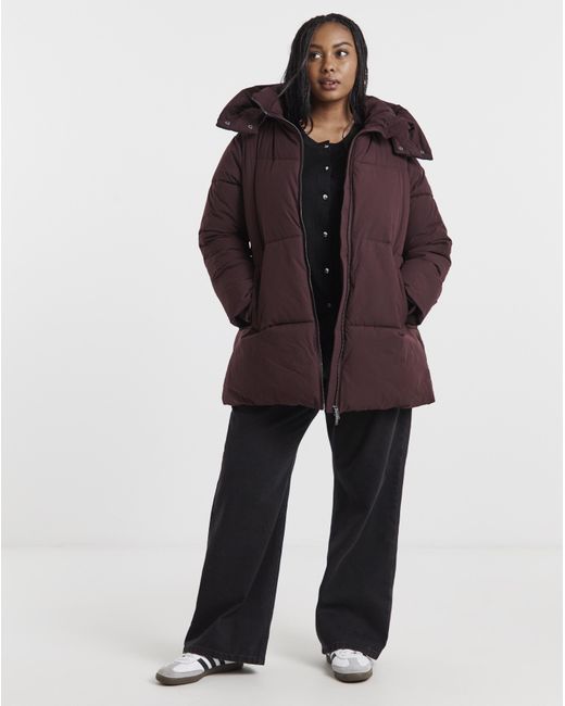 Simply Be Brown Longline Padded Coat