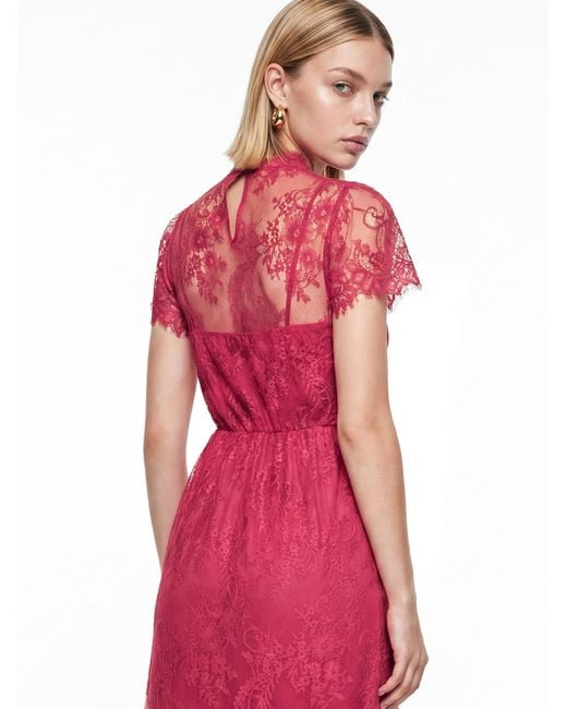 Lovedrobe Pink Floral Lace Midaxi Dress