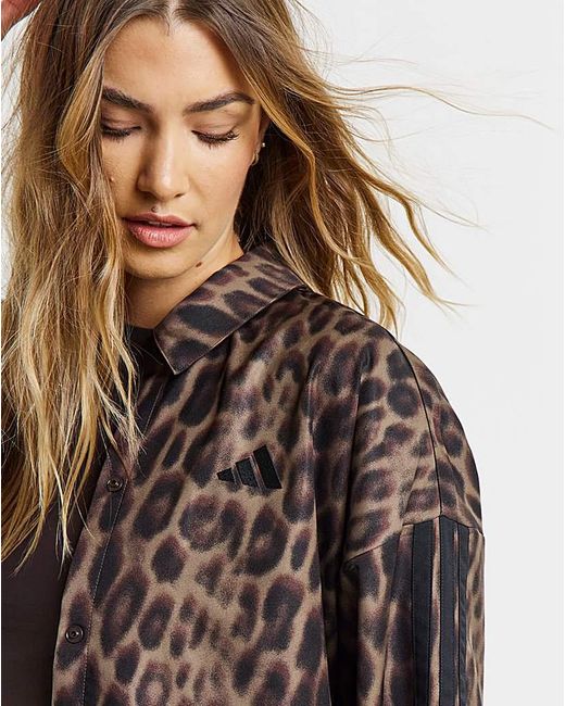 Adidas Brown Print 3 Stripe Jacket