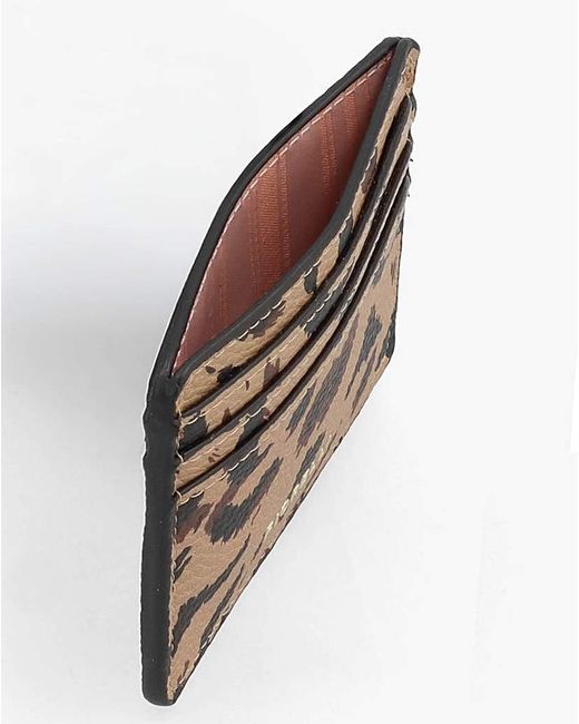Fiorelli Brown Marnie Print Card Case