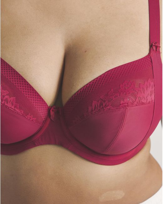 Elomi Nerina Plunge Wired Bra
