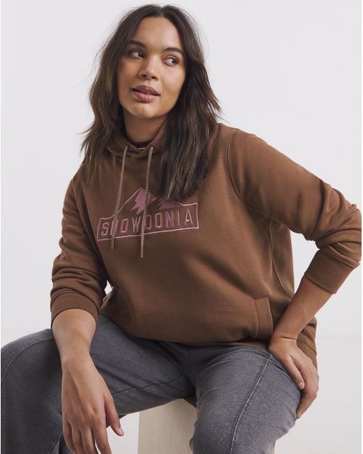 Snowdonia Brown Logo Hoodie