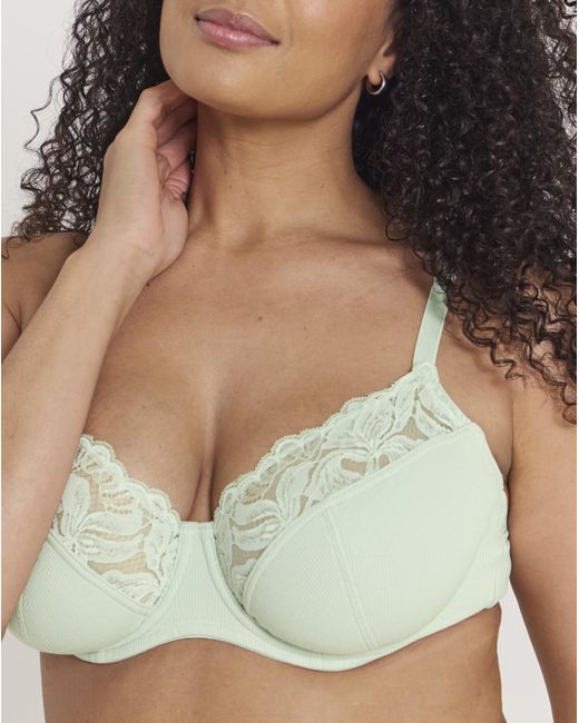 Pretty Secrets Multicolor 3 Pack Lace Full Cup Bras