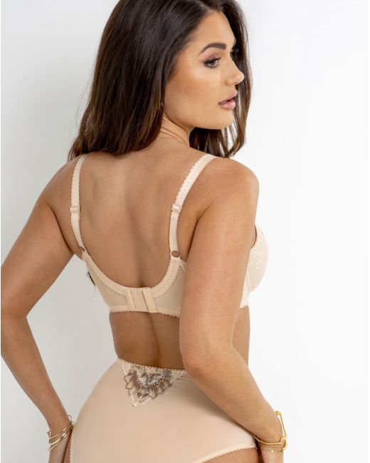 Pour Moi Brown Pour Moi Sofia Full Cup Bra