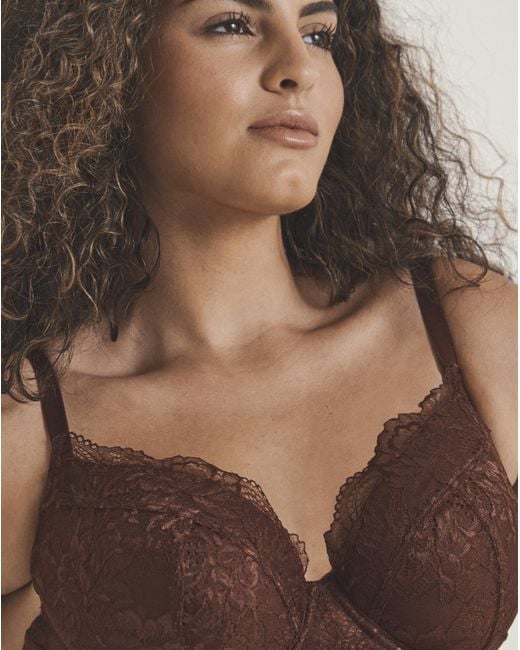 Pretty Secrets Brown 2 Pack Ella Plunge Wired Bras