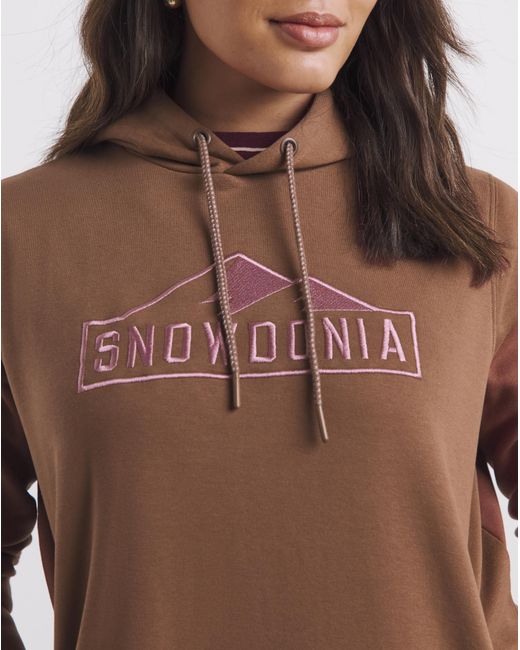 Snowdonia Brown Logo Hoodie