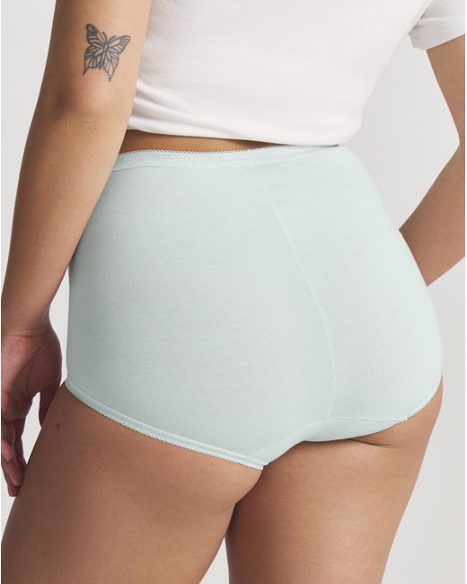 Sloggi Gray 3Pk Basic Maxi Briefs Mint Multi