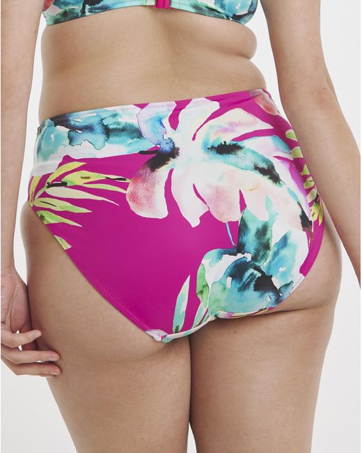 Fantasie Multicolor Carabelita Mid Bikini Brief