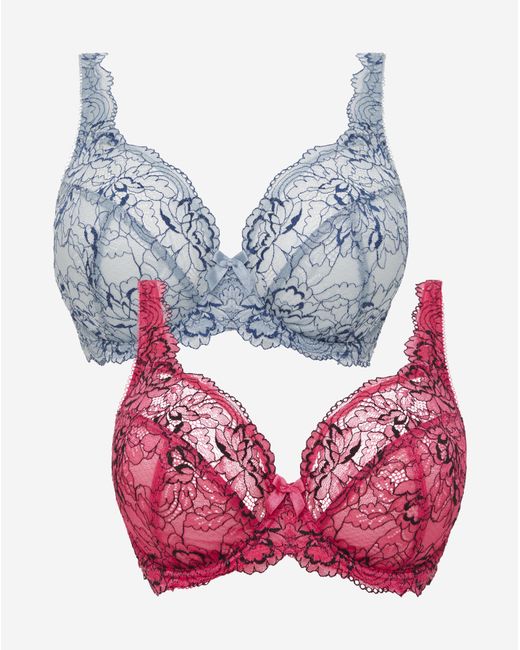 Pretty Secrets Multicolor 2 Pack Ella Lace Full Cup Wired Bras