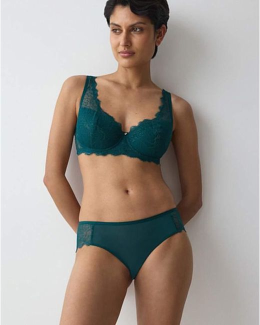 Triumph Blue Amourette Lace Hipster Briefs