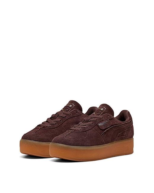 PUMA Brown Palermo Elevata Suede Trainers