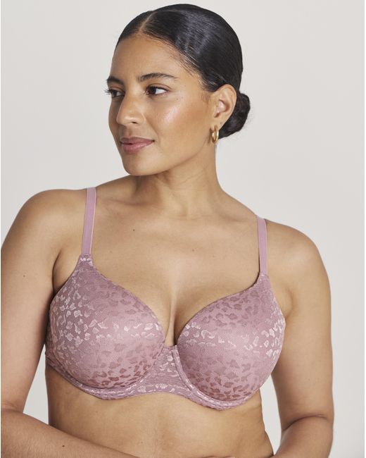 Pretty Secrets Multicolor 3 Pack Animal Lace T-Shirt Bras