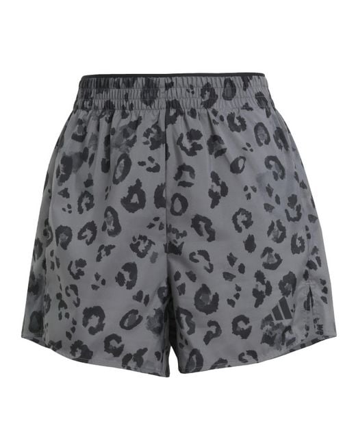 Adidas Multicolor Leopard Print Short