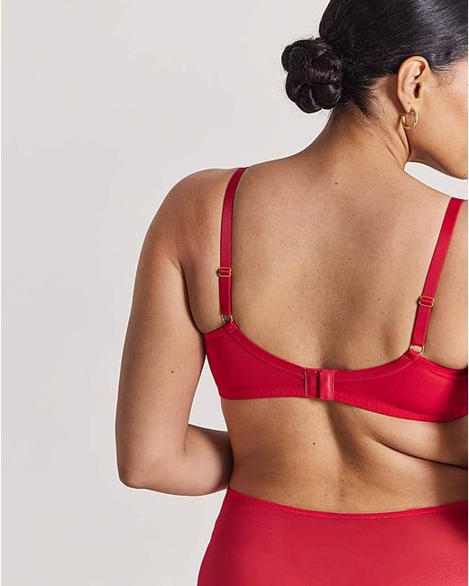 Pretty Secrets Red Penelope Knickers