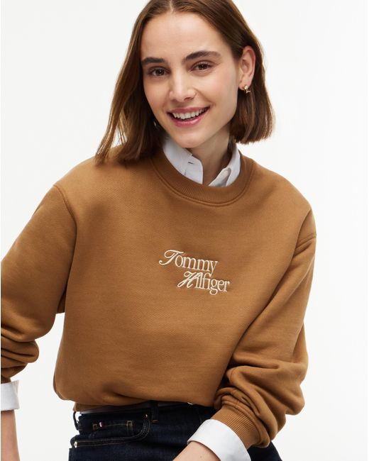 Tommy Hilfiger Brown Graphic Jumper
