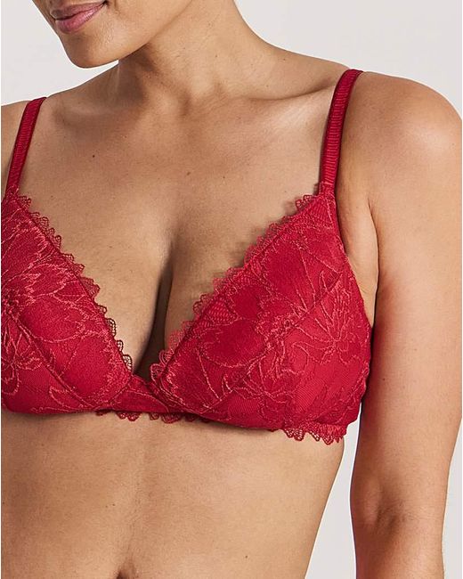 Pretty Secrets Red 2 Pack Willow Bralette