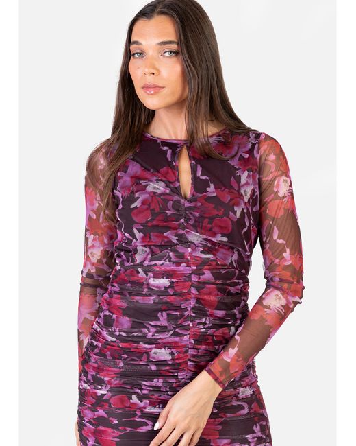 Anaya with love Red Anaya Printed Dress