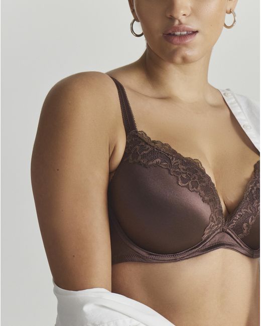 DORINA Brown Push Up Plunge Bra