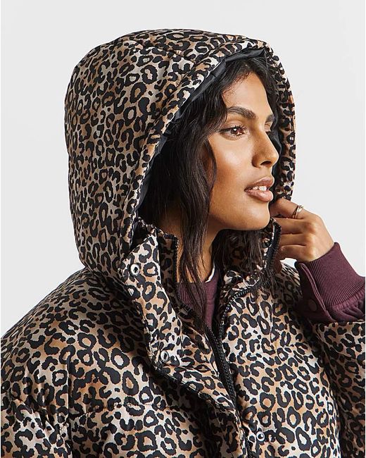 Simply Be Blue Print Padded Coat With Hood