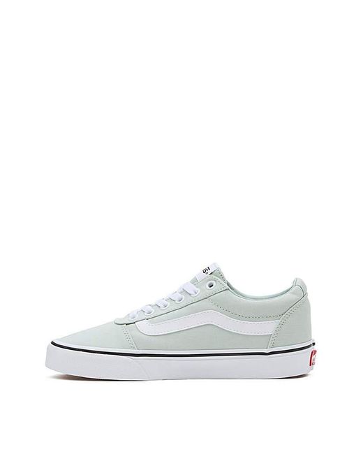 Vans White Ward Trainers