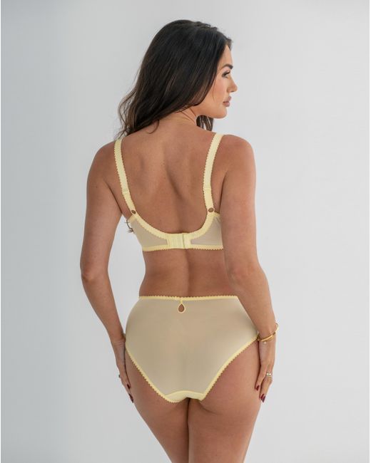 Pour Moi Brown Pour Moi Sofia Full Cup Bra Lemon/Blu