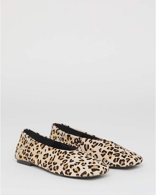 Simply Be Blue V Cut Leather Ballerina Extra Wide