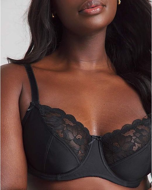 Pretty Secrets Brown Ivy Lace Basic Balcony Bra