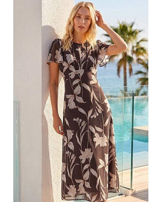 Roman Brown Roman Floral Flutter Sleeve Midi Dress