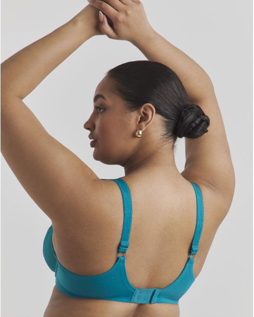 Elomi Blue Zarla Full Cup Wired Bra