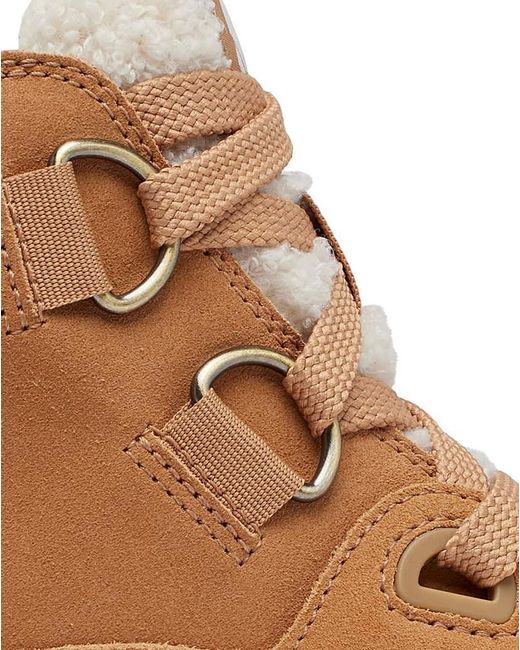 Sorel Brown Explorer Iii Waterproof Boot