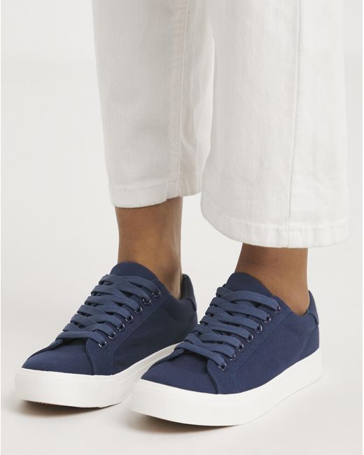 Simply Be Blue Classic Canvas Lace Up Wide Fit