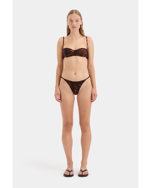 Sir Natural Dawn Brief