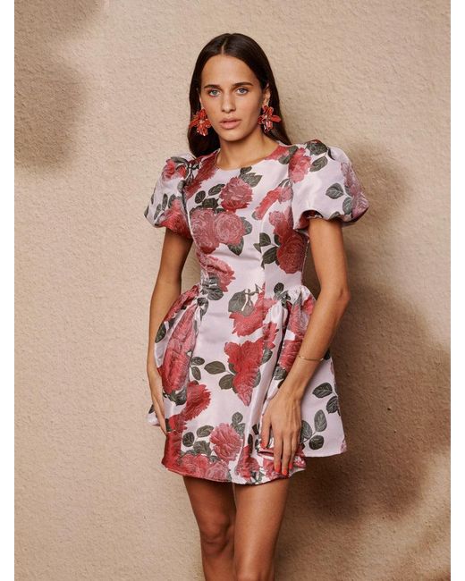 Sister Jane Brown Good Days Jacquard Mini Dress